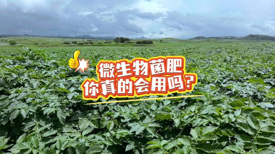 微生物菌肥你真会用吗？避开这些误区，肥效翻倍