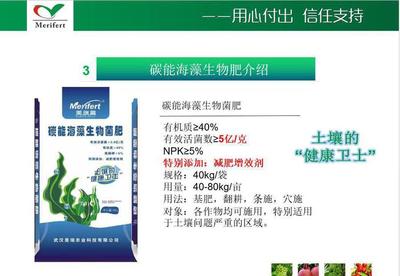 生物有机菌肥与海藻微生物肥价格解析 美瑞高生物菌肥性价比探究